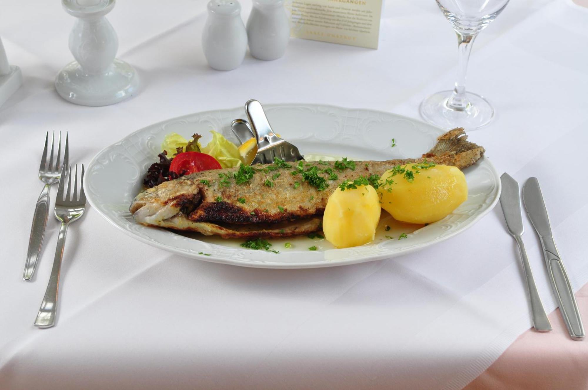 Greenline Ferienhotel Forelle Thale Zewnętrze zdjęcie