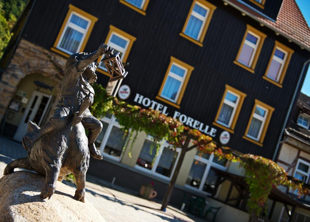 Greenline Ferienhotel Forelle Thale Zewnętrze zdjęcie