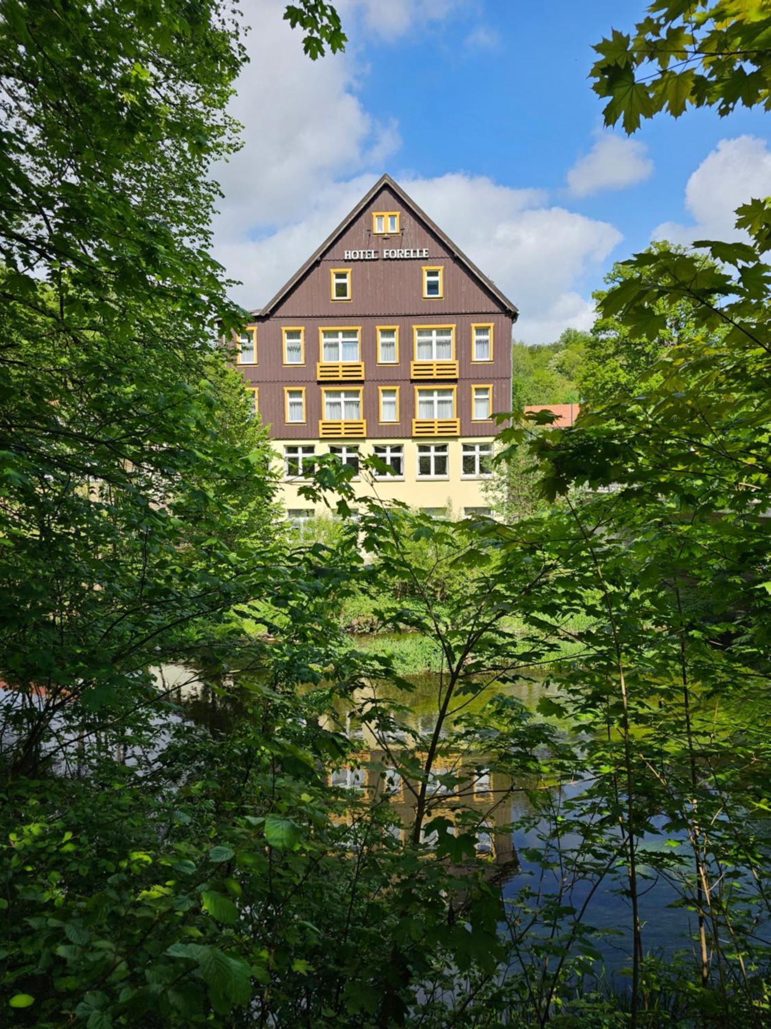 Greenline Ferienhotel Forelle Thale Zewnętrze zdjęcie