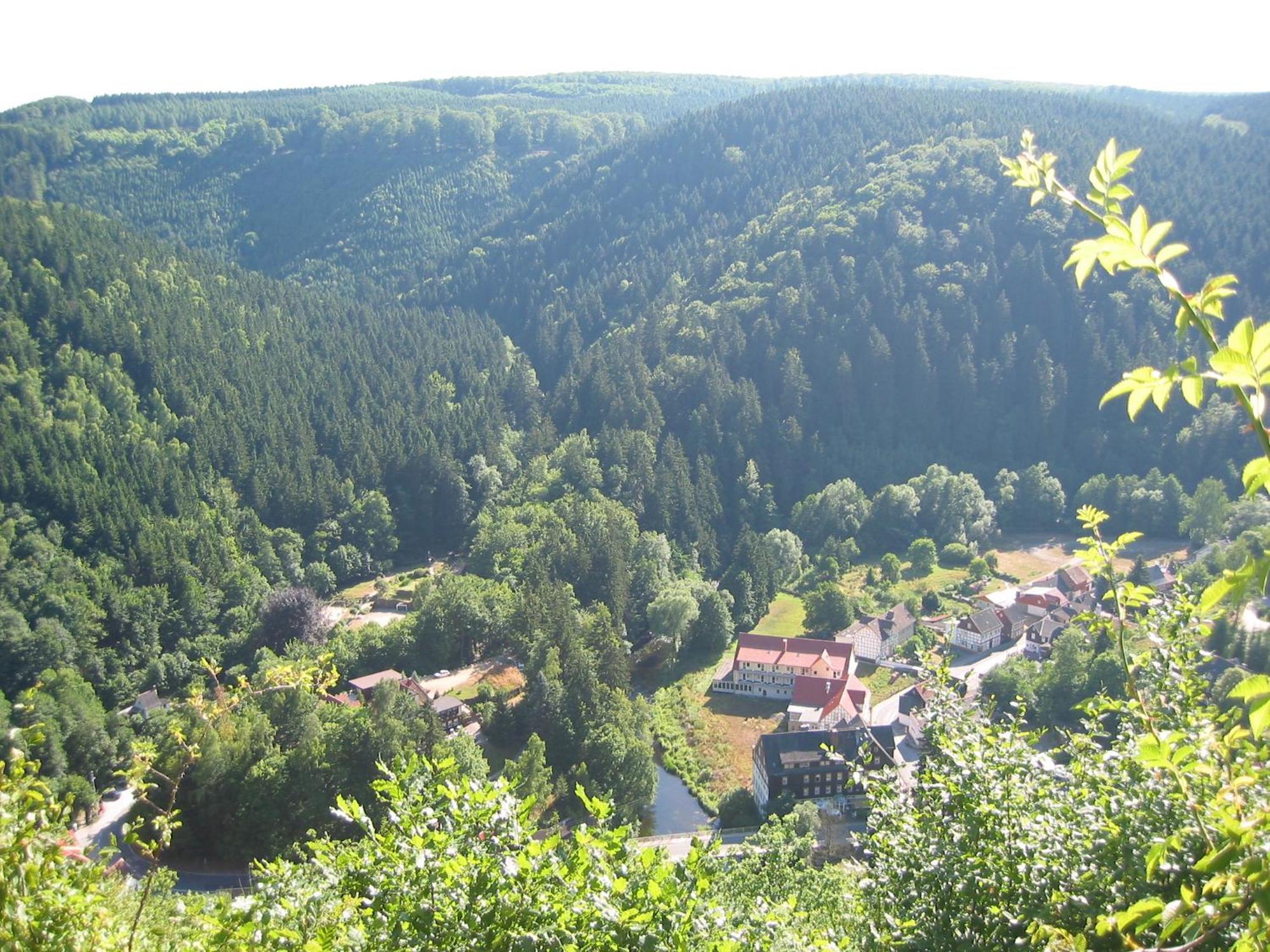 Greenline Ferienhotel Forelle Thale Zewnętrze zdjęcie